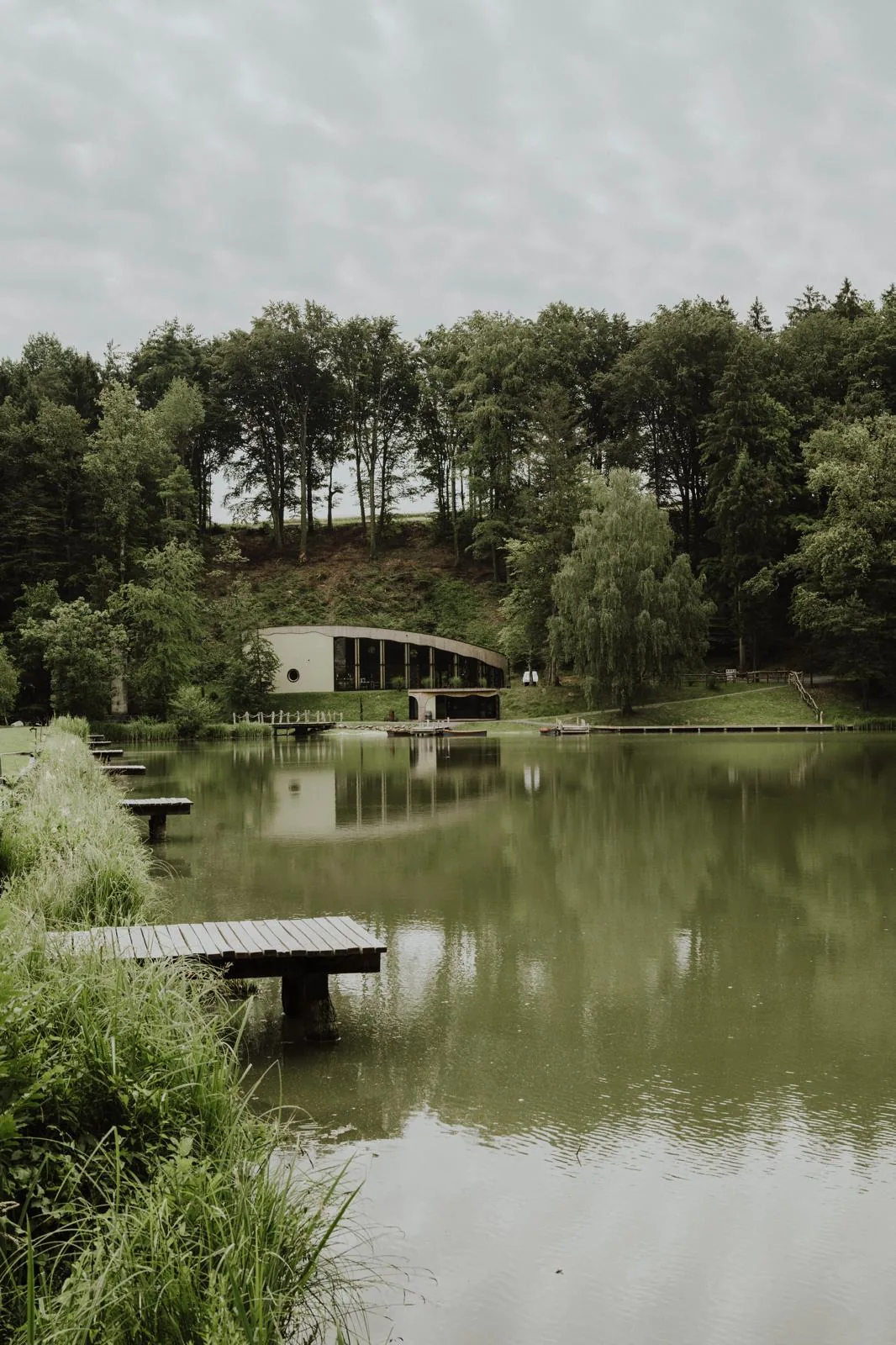 MARIO HERZOG - 1