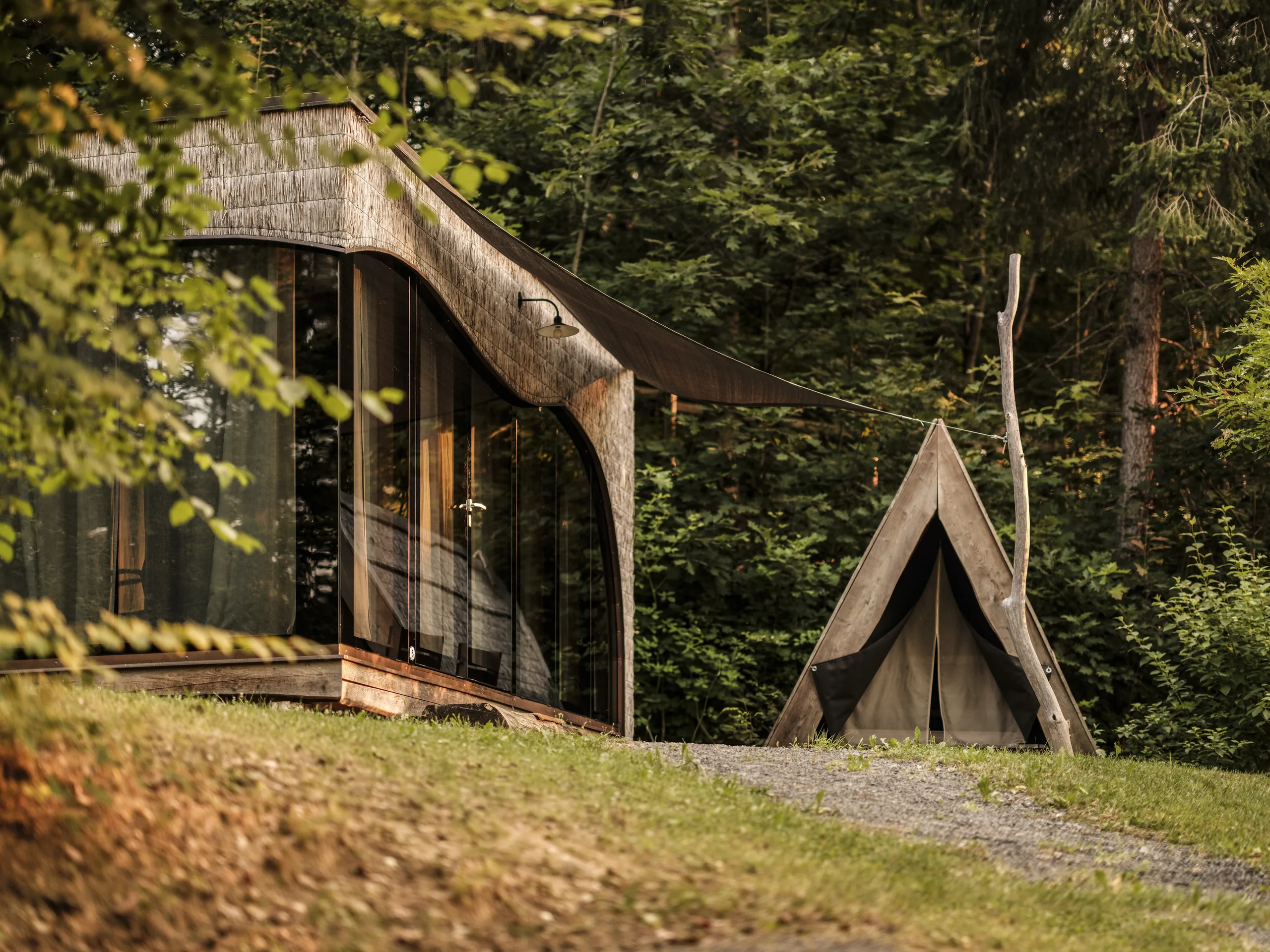 Forest cabin